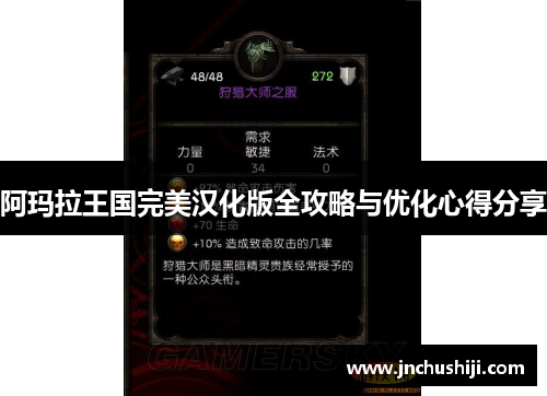 阿玛拉王国完美汉化版全攻略与优化心得分享